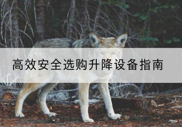 大渡口区升降货梯厂家推荐-*安全选购升降设备指南