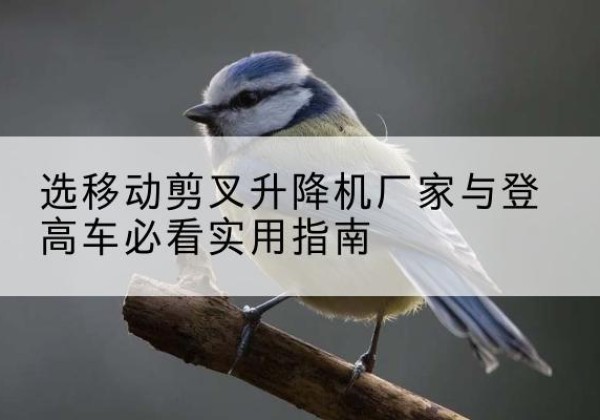 大渡口区电动升降机厂家-选移动剪叉升降机厂家与登高车必看实用指南