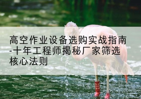 大渡口区剪叉式升降机厂家-高空作业设备选购实战指南-十年工程师揭秘厂家筛选核心法则
